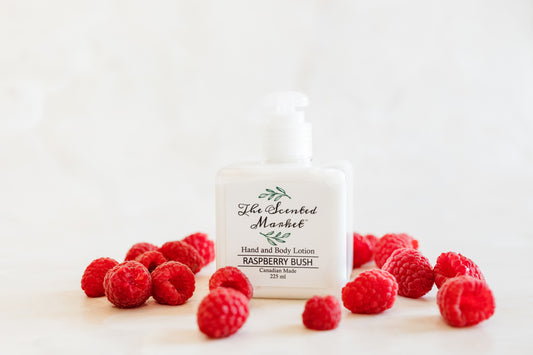 RASPBERRY Soothing BUSH Hand & Body Lotion - The Scented Market Lotion & Moisturizer