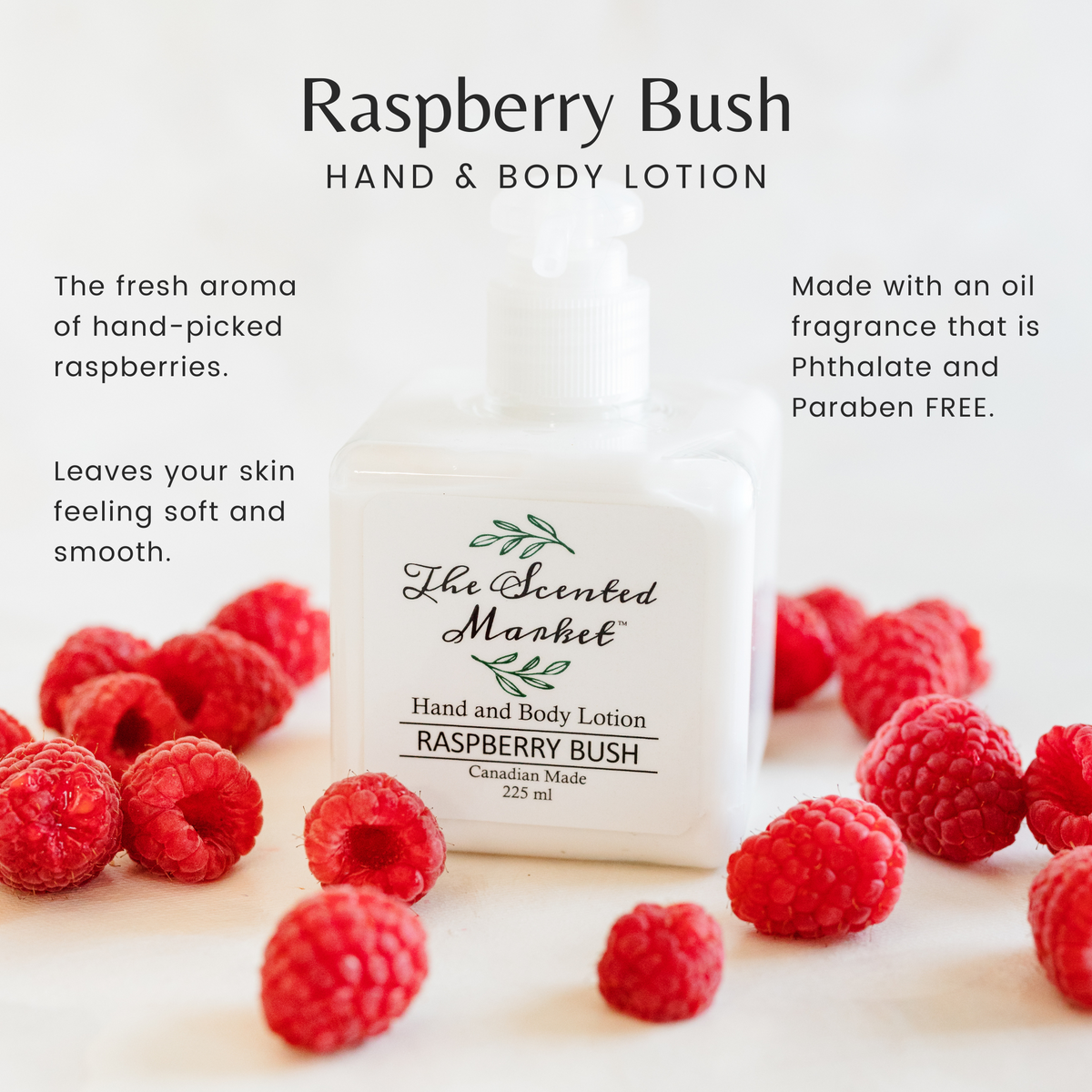 RASPBERRY Soothing BUSH Hand & Body Lotion - The Scented Market Lotion & Moisturizer