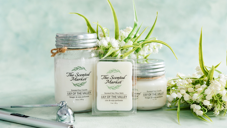 LILY OF THE VALLEY