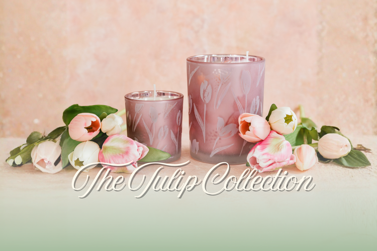 The Tulip Collection