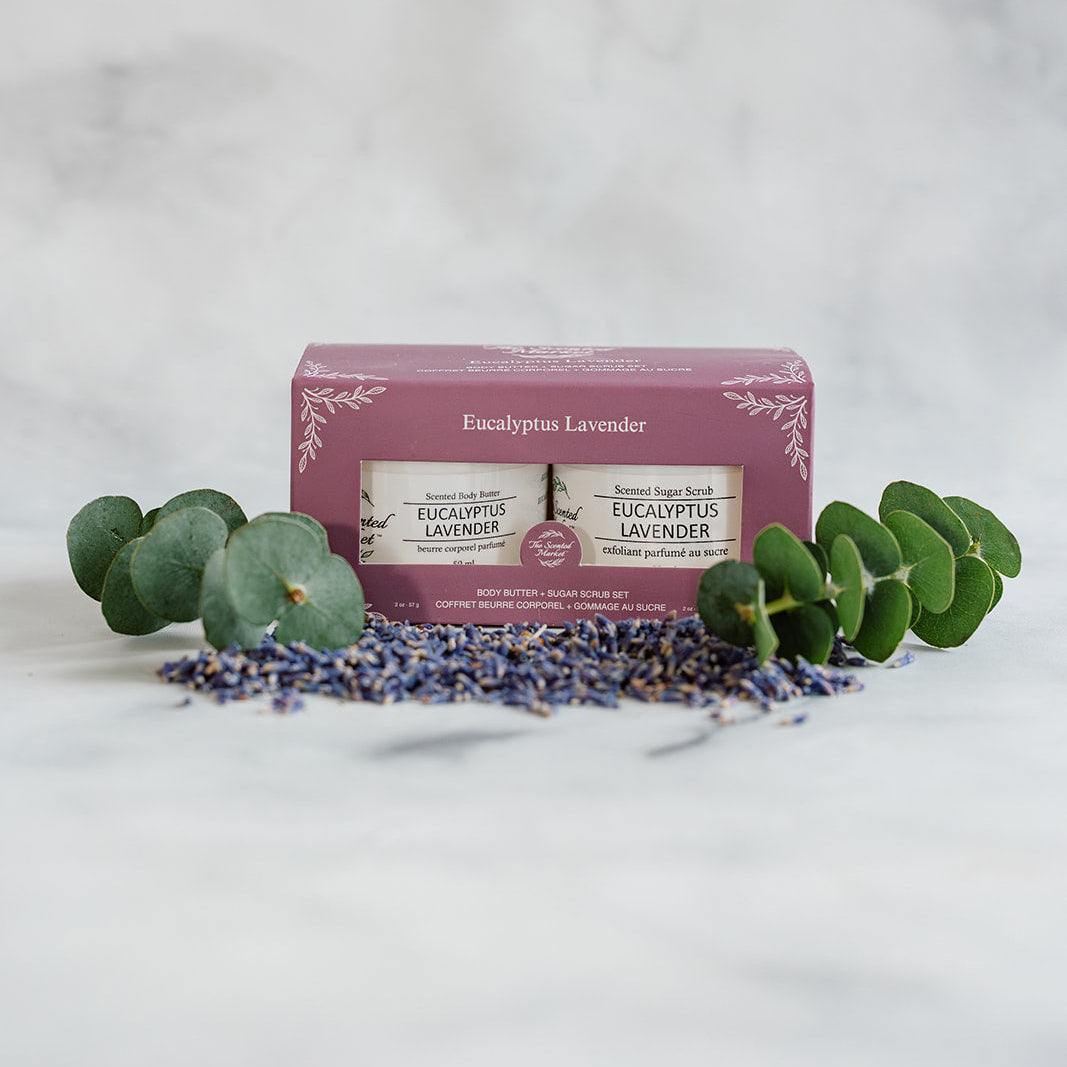 Body Care Gift Set - Eucalyptus Lavender - The Scented Market  Bath & Body Gift Sets   