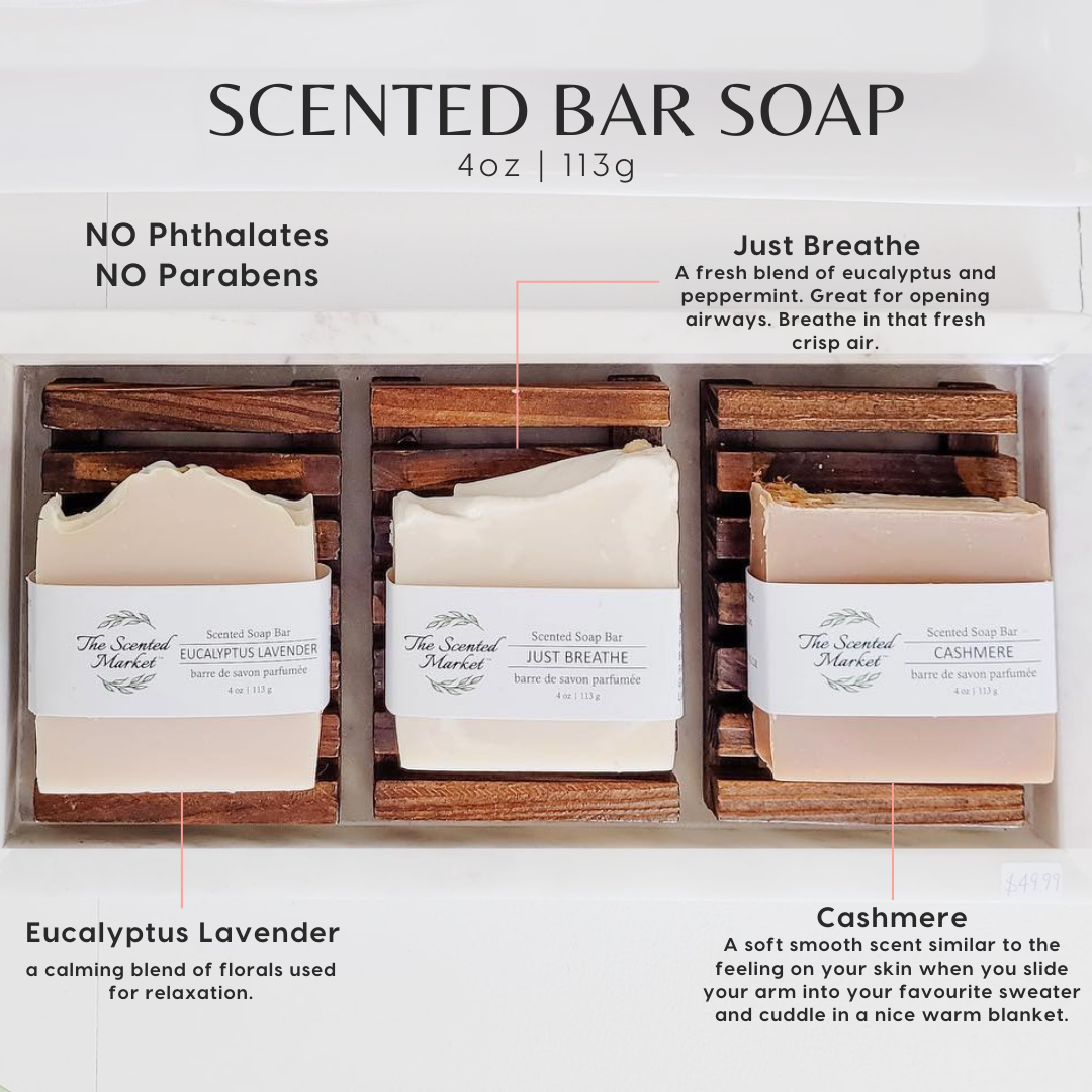 CASHMERE - Scented Soap Bar - The Scented Market  Bar Soap   