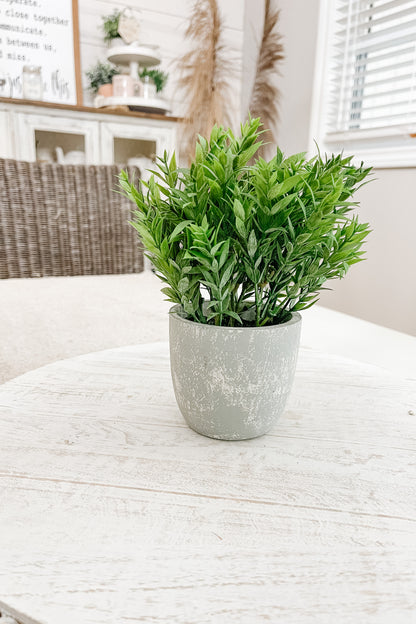 Faux Bamboo in a Pot - The Scented Market  Artificial Flora   