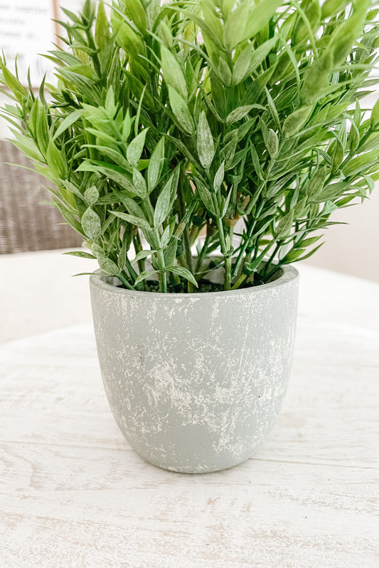 Faux Bamboo in a Pot - The Scented Market  Artificial Flora   