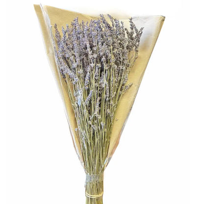 Lavender Bouquet – Calming, Aromatic, and Versatile