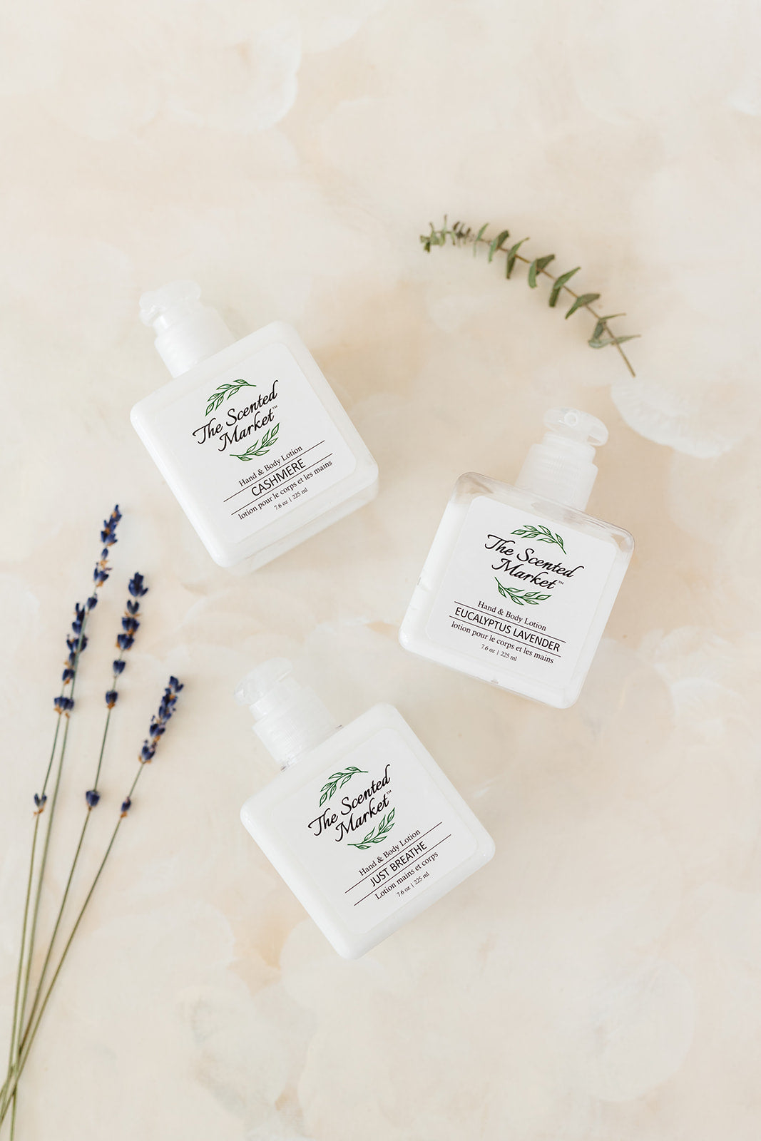 Just Breathe Hand and Body Lotion – Refreshing and Hydrating - The Scented Market  Lotion & Moisturizer   