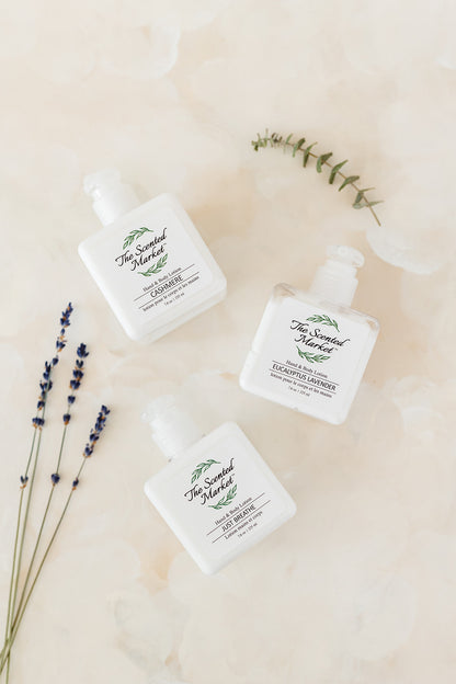 Just Breathe Hand and Body Lotion – Refreshing and Hydrating - The Scented Market  Lotion & Moisturizer   