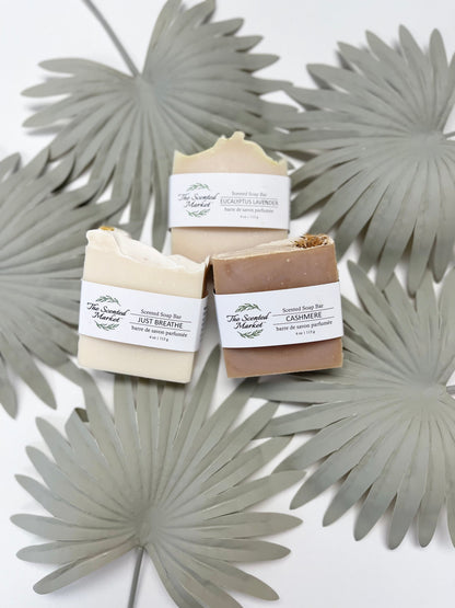 CASHMERE - Scented Soap Bar - The Scented Market  Bar Soap   