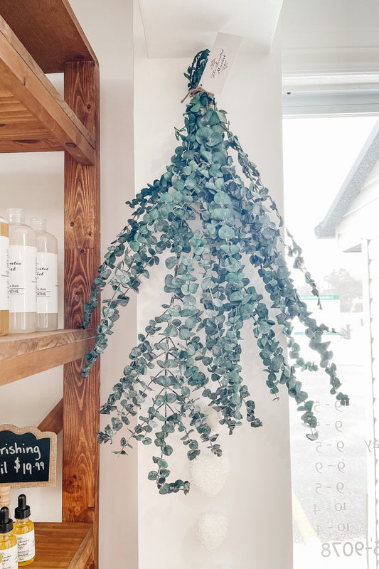 Fresh Eucalyptus Bunch - The Scented Market  Plants   