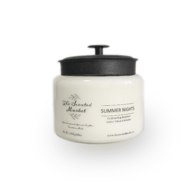 SUMMER NIGHTS 4 WICK SOY WAX CANDLE - The Scented Market  Candles   